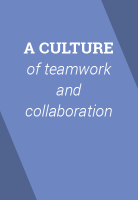A culture of teamwork and collaboration