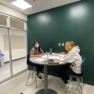 Chemistry students using a breakout room